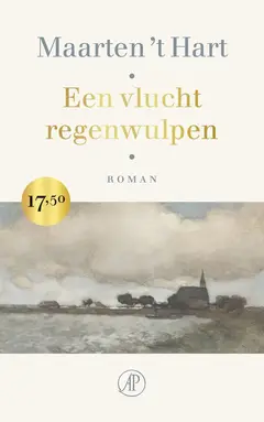 Omslag van Een vlucht regenwulpen