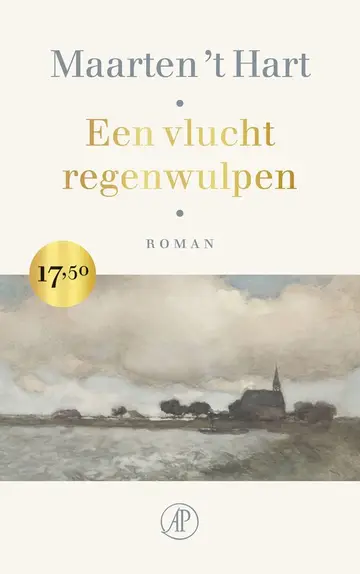 Omslag van Een vlucht regenwulpen
