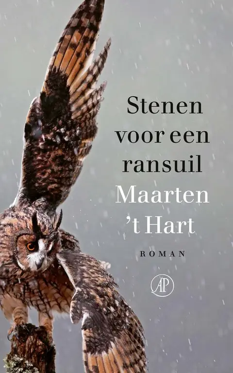 Omslag van Stenen voor een ransuil