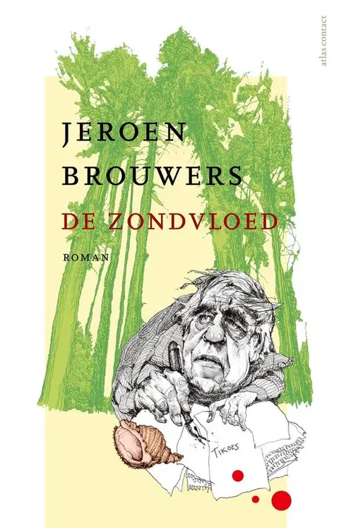 Omslag van De zondvloed