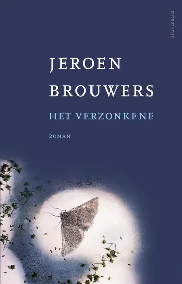 Omslag van Het verzonkene