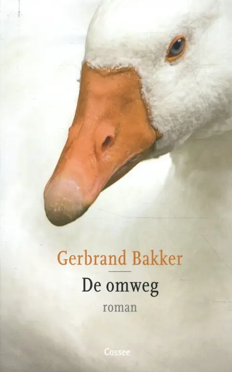 Omslag van De omweg
