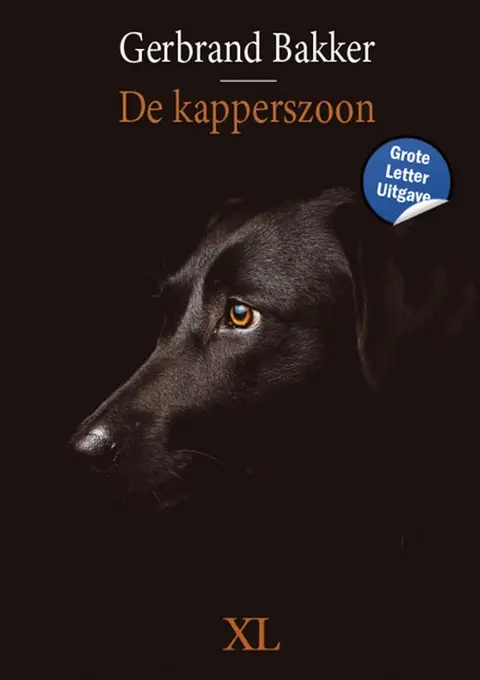 Omslag van De kapperszoon