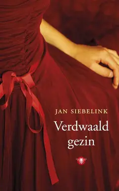 Omslag van Verdwaald gezin