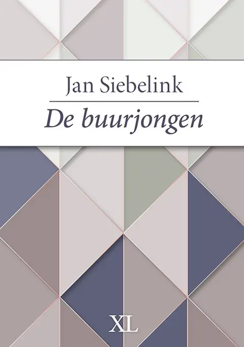 Omslag van De buurjongen