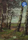 Omslag van Brengschuld