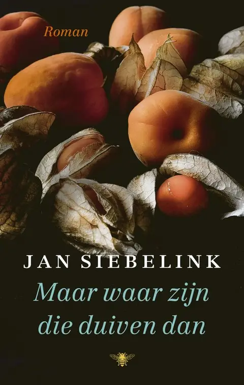 Omslag van Maar waar zijn die duiven dan
