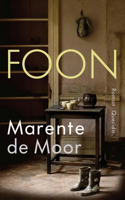 Omslag van Foon