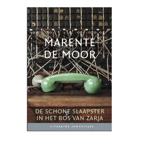 Omslag van De schone slaapster in het bos van Zarja