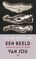 Omslag van Een beeld van jou