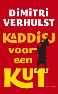 Omslag van Kaddisj voor een kut