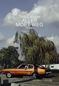 Omslag van Alles moet weg