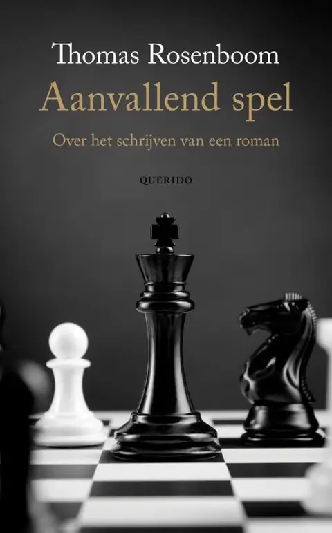 Omslag van Aanvallend spel