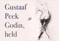 Omslag van Godin, held