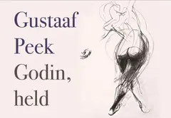 Omslag van Godin, held