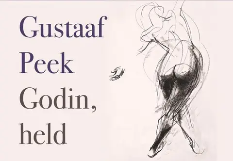 Omslag van Godin, held