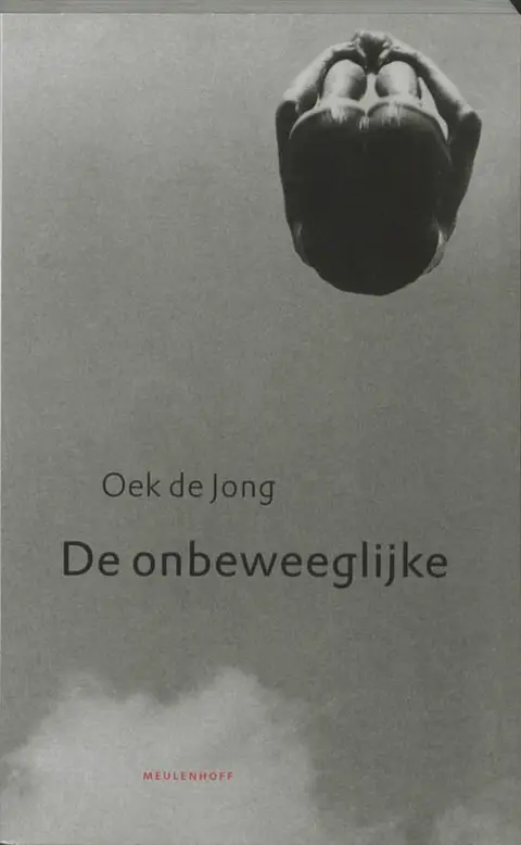 Omslag van De onbeweeglijke