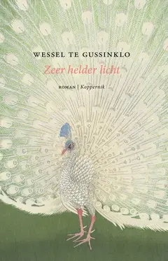 Omslag van Zeer helder licht