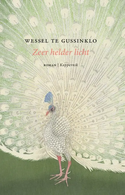 Omslag van Zeer helder licht