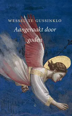 Omslag van Aangeraakt door goden
