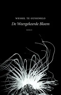 Omslag van De weergekeerde bloem