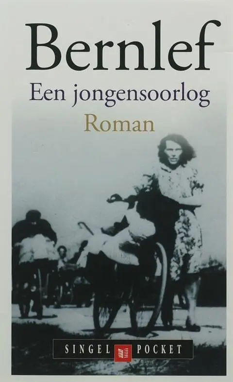 Omslag van Een jongensoorlog