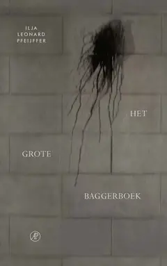 Omslag van Het grote baggerboek