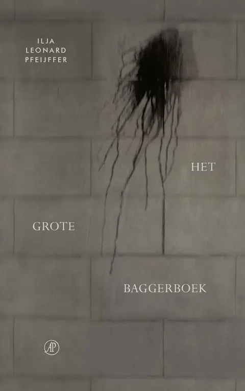Omslag van Het grote baggerboek
