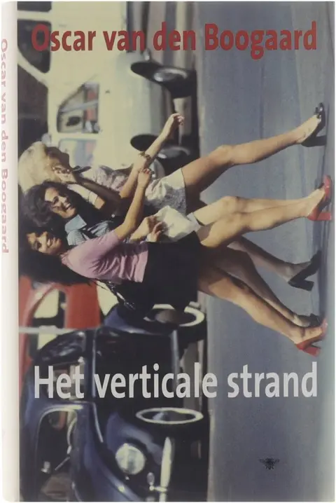 Omslag van Het verticale strand
