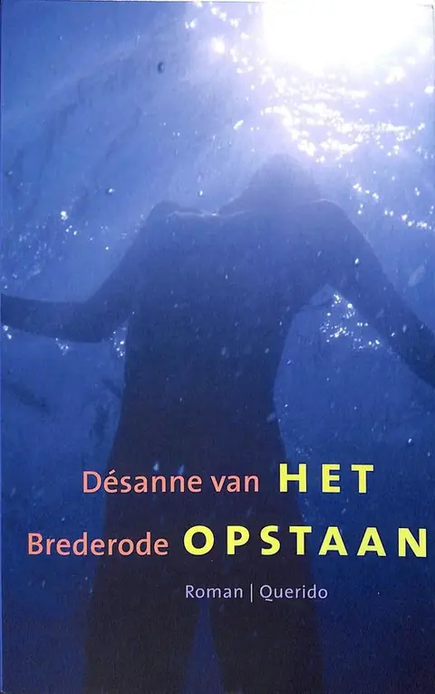 Omslag van Het opstaan