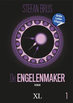 Omslag van De engelenmaker