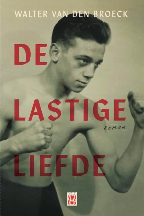 Omslag van De lastige liefde