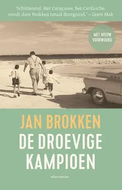 Omslag van De droevige kampioen