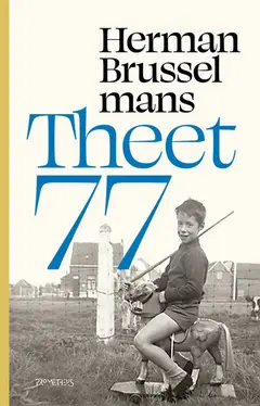 Omslag van Theet 77
