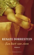 Omslag van Hart van steen