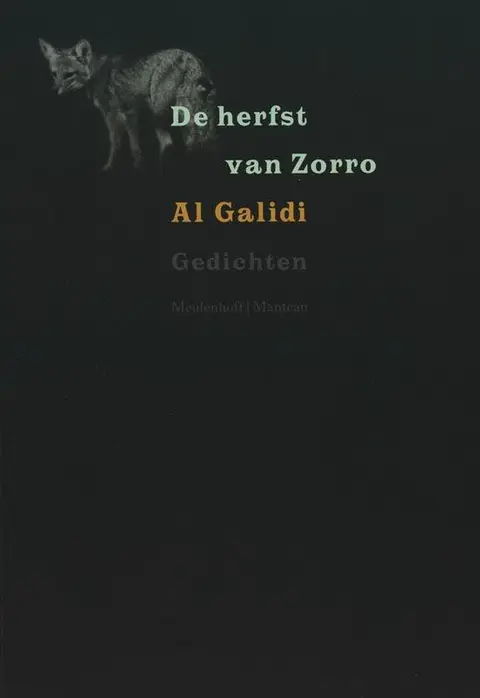 Omslag van De herfst van Zorro