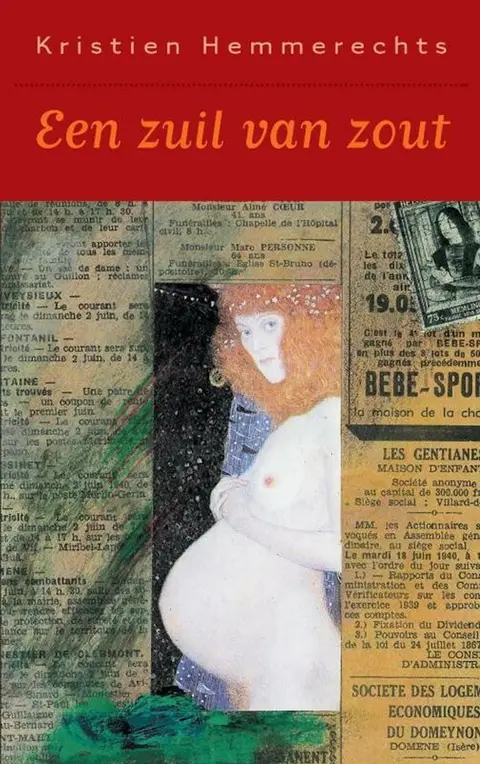 Omslag van Een zuil van zout