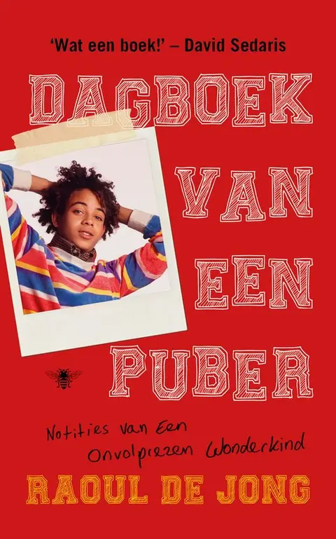 Omslag van Dagboek van een puber