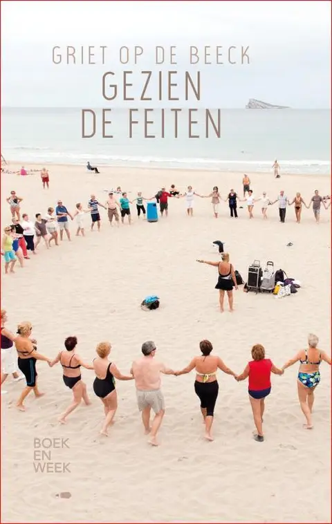 Omslag van Gezien de feiten