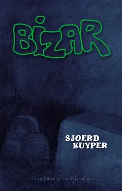 Omslag van Bizar