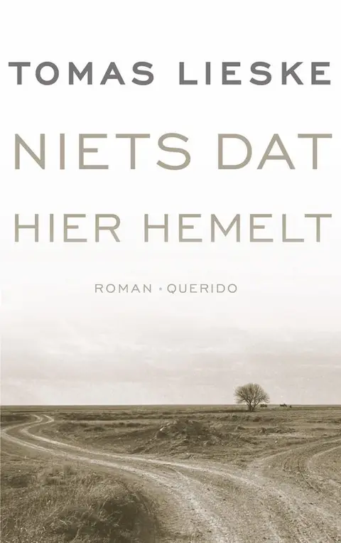 Omslag van Niets dat hier hemelt