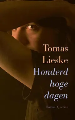 Omslag van Honderd hoge dagen