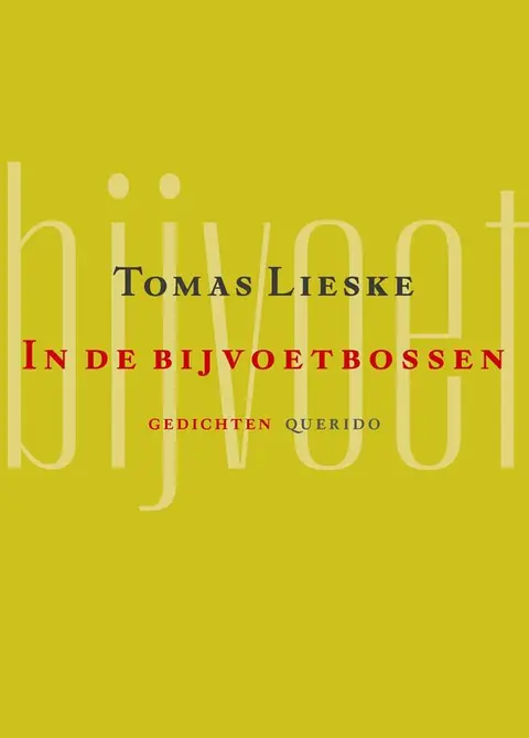 Omslag van In de bijvoetbossen