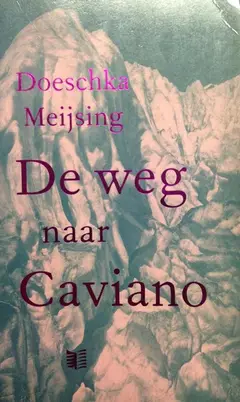Omslag van De weg naar Caviano
