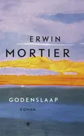 Omslag van Godenslaap