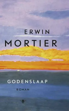 Omslag van Godenslaap