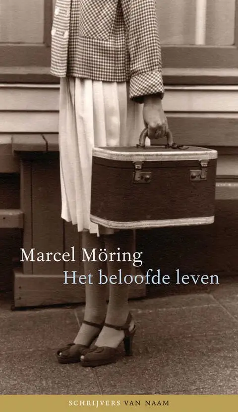 Omslag van Het beloofde leven