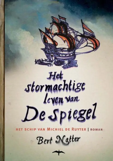 Omslag van Het stormachtige leven van De spiegel