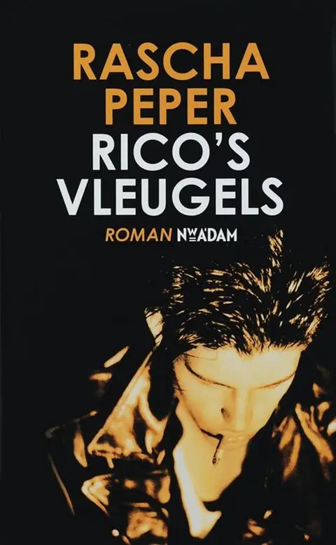 Omslag van Rico's vleugels