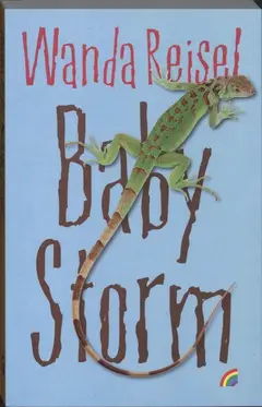 Omslag van Baby storm